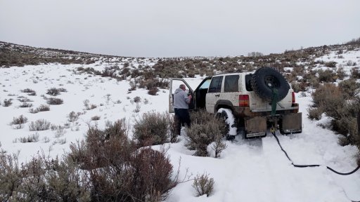 20250201_133637.jpg 20250201_133637.jpg