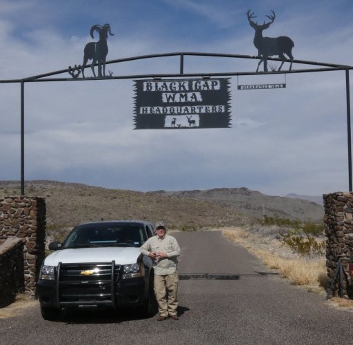 rex2021.JPG rex2021.JPG