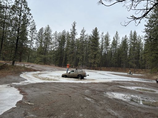 IMG_4232.jpeg IMG_4232.jpeg