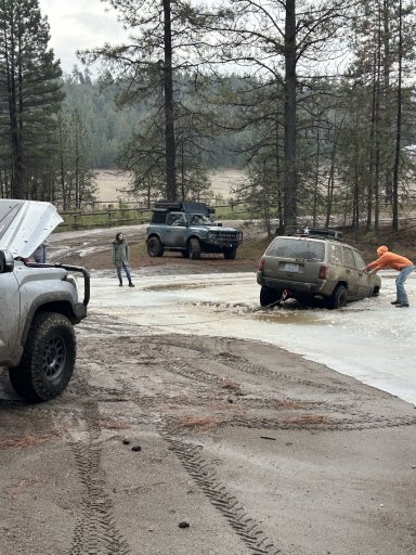 IMG_2948.jpeg IMG_2948.jpeg