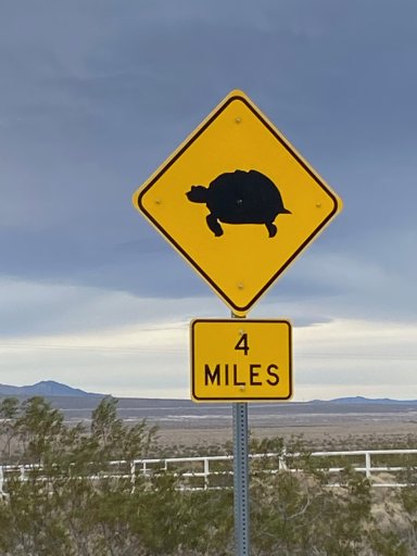 IMG_3653.jpeg IMG_3653.jpeg