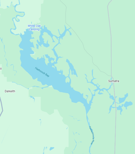 1770063591785.png 1770063591785.png