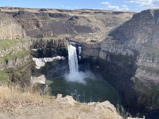 IMG_7486.jpeg IMG_7486.jpeg