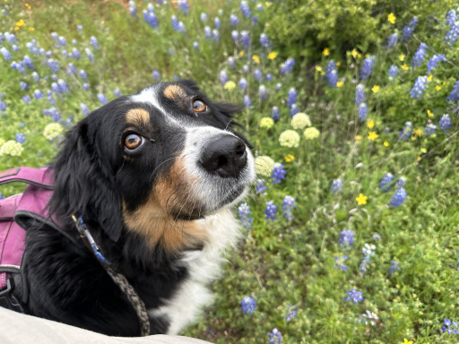 1770142194267.png 1770142194267.png