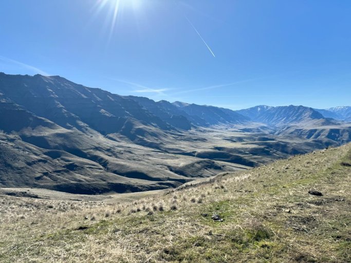 IMG_1244.jpeg IMG_1244.jpeg