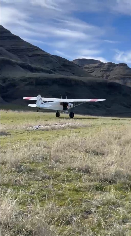 IMG_3095.jpeg IMG_3095.jpeg