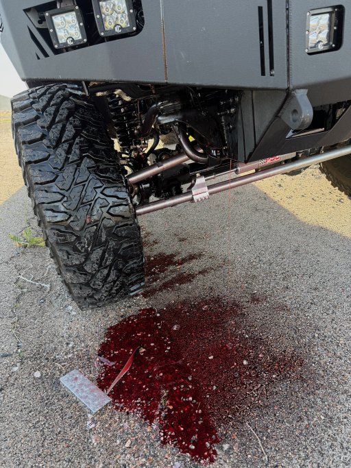 IMG_1398.jpg IMG_1398.jpg