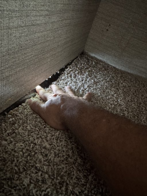 media.jpg