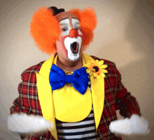 clown-pie-in-the-face.gif