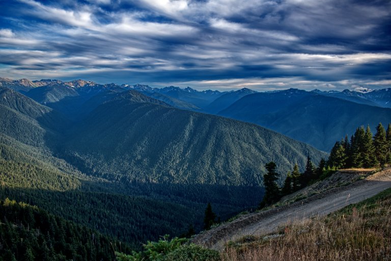 001 Elwha Valley_1955.jpg