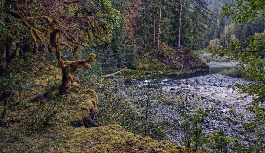 001 Graves Creek_0929.jpg