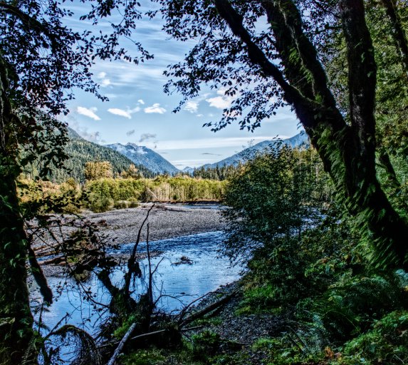 001 Quinault R_0889b.jpg