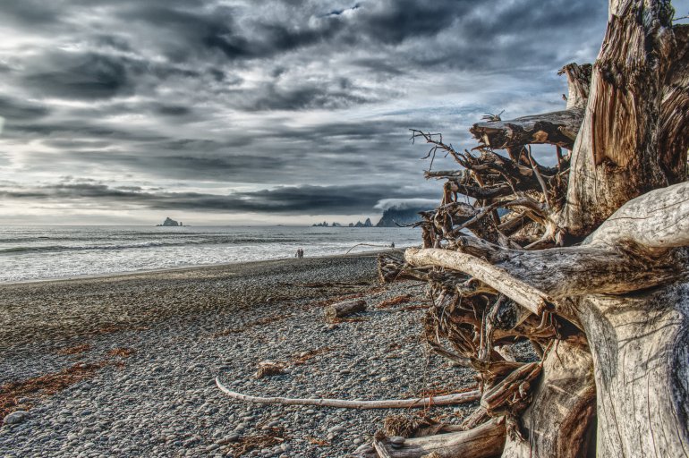 001 Rialto Beach_0039.jpg
