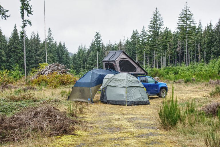 DSC_0919.jpg