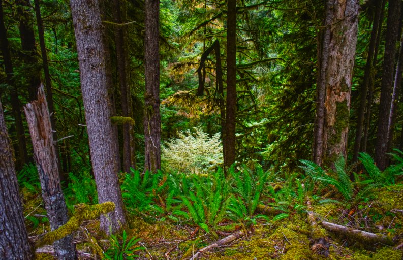 DSC_0950.jpg DSC_0950.jpg