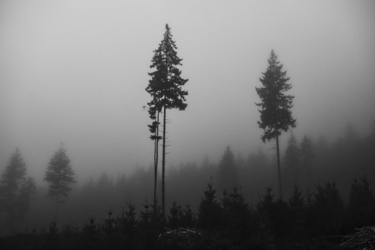 DSC_0971.jpg DSC_0971.jpg