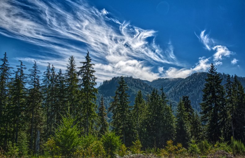 DSC_0955.jpg DSC_0955.jpg