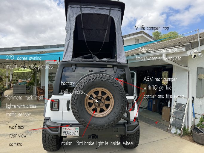 Back view .jpg