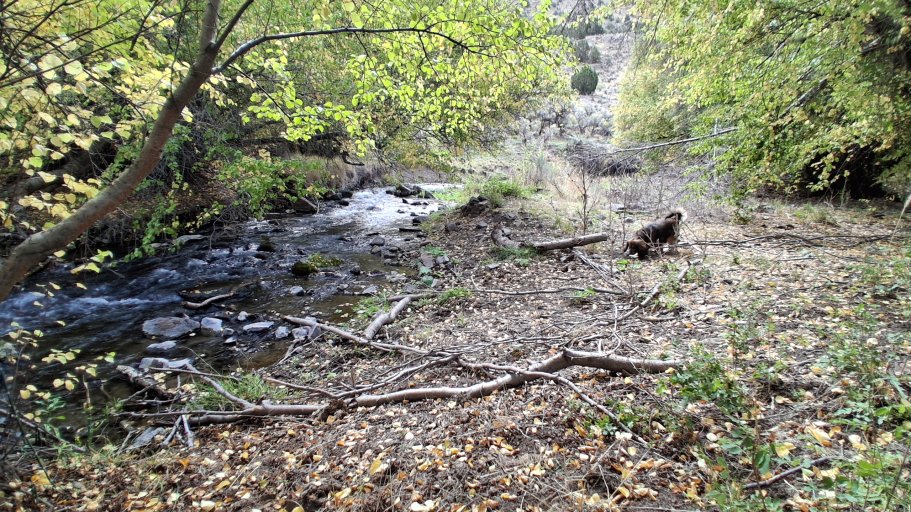 20260925_115928.jpg