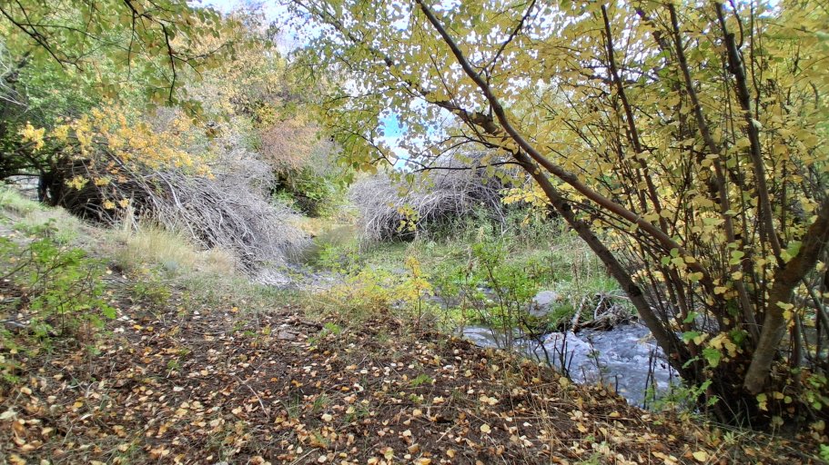 20260925_115936.jpg