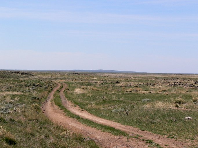 P1100038.JPG
