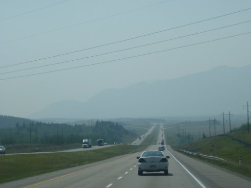 P1000331.JPG