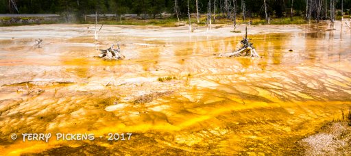 Day 3a yellowstone-2.jpg