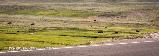 Day 3b yellowstone-13.jpg