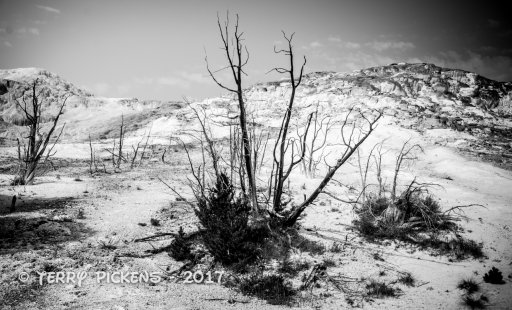 Yellowstone Day 4a-2.jpg