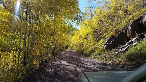 fall on the trail.jpg