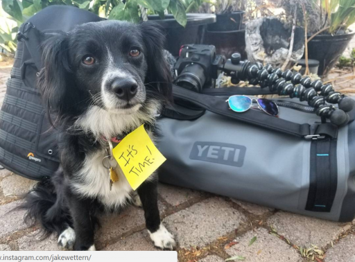 Annie Ready for Day 1 of BFGoodrich Ultimate Off-Road Experience.PNG