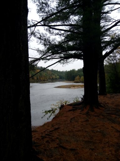 IMG_20171009_112501[1].jpg