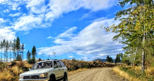 4runner cap forest.jpg