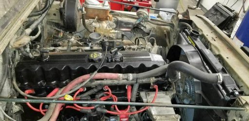 Jade's engine with new radiator.jpg