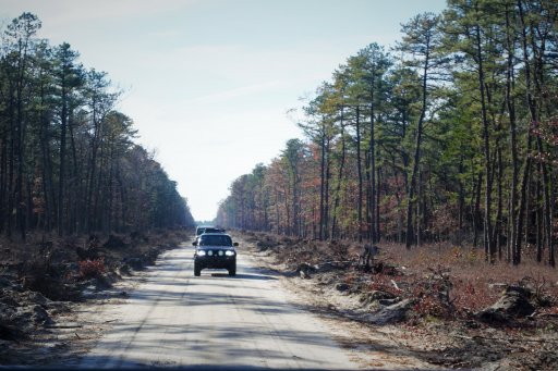 DSC_0567.jpg