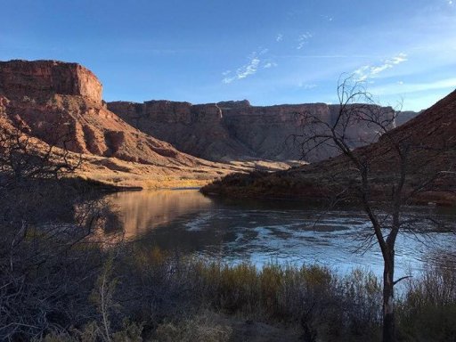 Moab Campsite.jpg