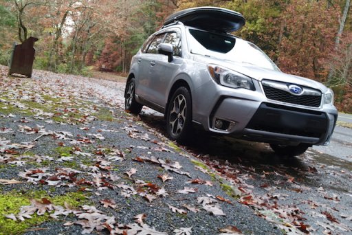 2014 Subaru in Shenandoah 4 - 1.jpg