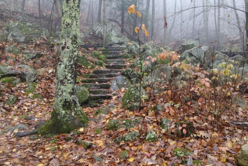 Fall 2017 Shenandoah Nat Park - 4 (1).jpg