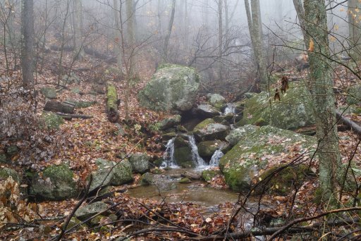 Fall 2017 Shenandoah Nat Park - 6 (1).jpg