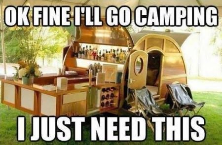 24-ok-fine-i-ll-go-camping-funny-meme.jpg