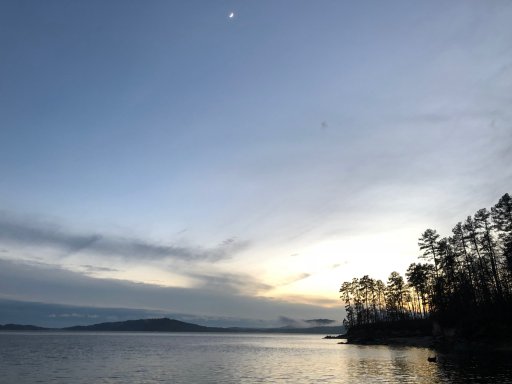IMG_0224.jpg
