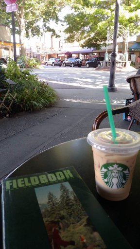 FieldbookandStarbucks.jpg