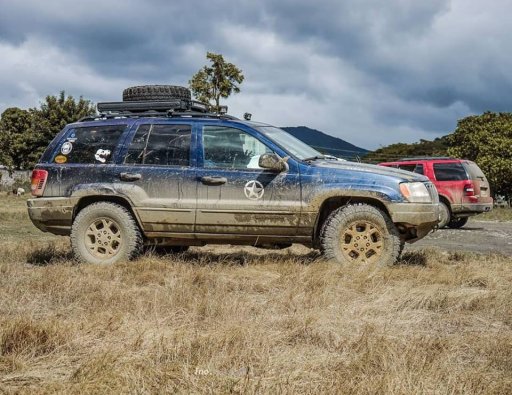 some mud.jpg