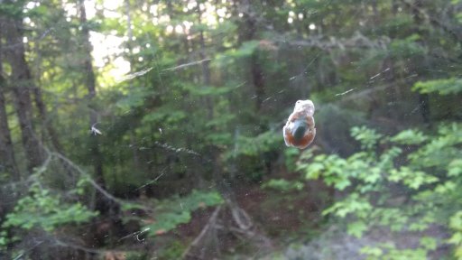 IMG_20160609_190853.jpg