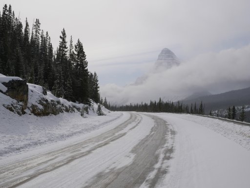 Snowy Start.JPG