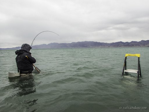 PyramidLake-3130047.jpg