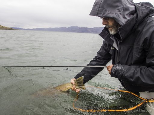 PyramidLake-3130052.jpg