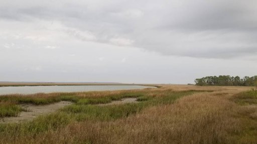 20180407_072717.jpg