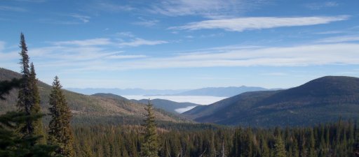 Valley Fog.jpg
