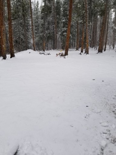 20180502_080925.jpg